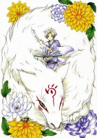 Natsume Yuujinchou 13 (Small)